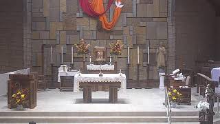 Daily Mass for Friday, May 29, 2026
