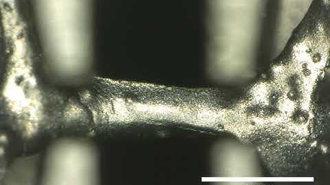 In situ microtensile testing of hollow steel foam struts