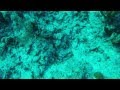 Gopro  turks and caicos islands  beautiful by nature