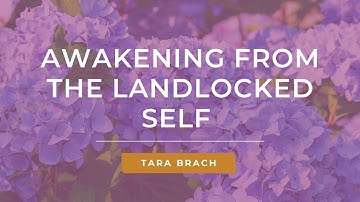Letting Go of Your Identity & Finding True Freedom with Tara Brach