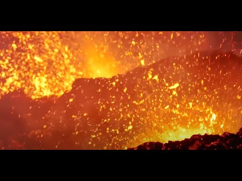 ZAMILSKA - Hollow