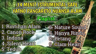 Full Album Instrumental Sape Dayak 2020 PANGARETO PRODUCTION 