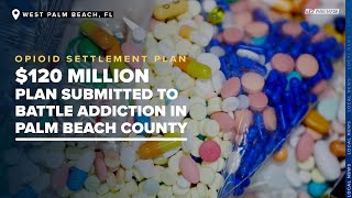 Palm Beach County Plans To Battle Addiction with $120 million in Settlement Funds