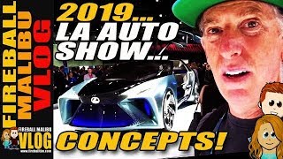 2019 LA AUTO SHOW CONCEPT CARS! - FIREBALL MALIBU VLOG 964