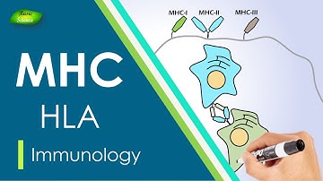 Introduction to Major Histocompatibility Complex (MHC) | MHC Class-1, 2, 3 | Basic Science Series