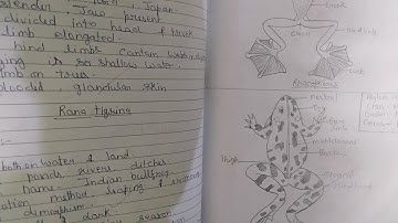 M.Sc. zoology practical  file //Agra university//2024