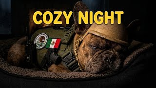 Ultimate Cozy Night with Cash 🐶🔥 Rain & Fireplace Sleep Sounds (3 Hours) Noche acogedora con Cash 🌧️ screenshot 1