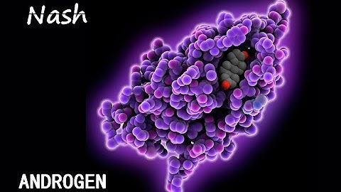 29.Nash-Androgen