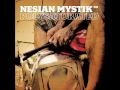 Nesian mystik - Soul release