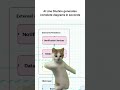 This free AI tool explains complex systems in 15 seconds