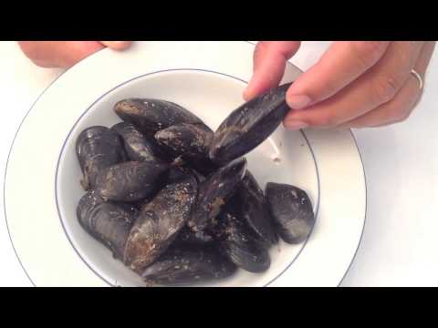 Video: Cozze: struttura interna ed esterna