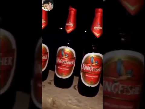 Kingfisher beer status video
