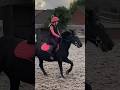 Triple pony swap foryou horse viral equestrian horses fyp shorts ytshorts