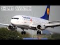 Lufthansa Fanhansa Boeing 737-300 D-ABEK