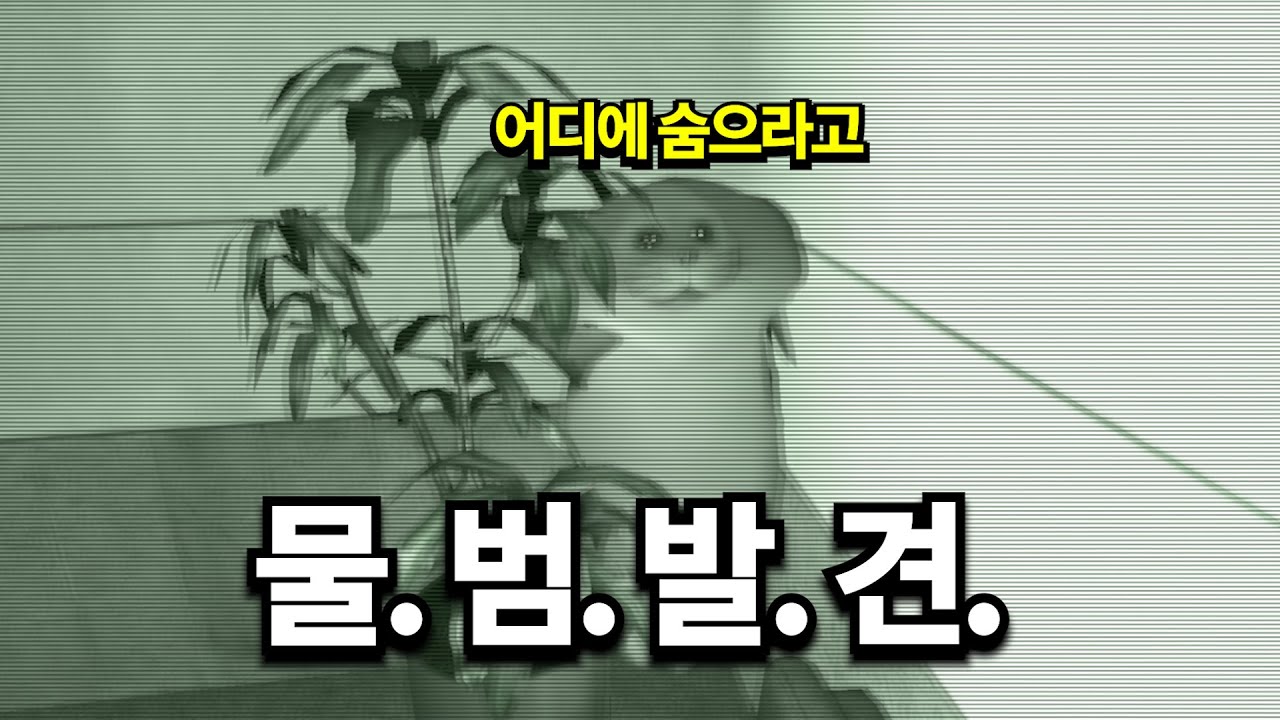 진짜 노력한다고 숨은건데