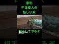 かしこい子猫さん　危うきに近寄らず再up　Don't get close to the kitten 　良かったよかった（笑）#子猫#不法侵入者#巨大かまきり#ギザギザ#危機回避