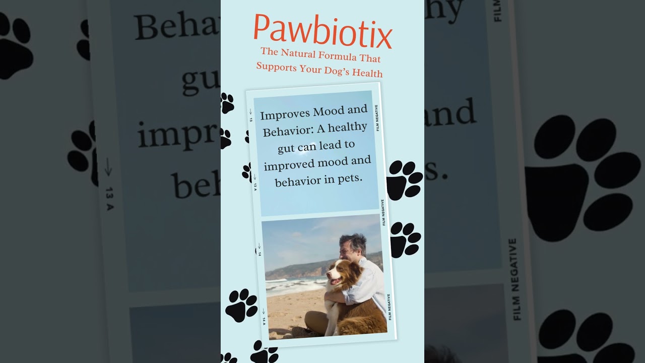 Pawbiotics: Dog Gut Health