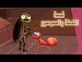 قصة النملة والصرصور 
