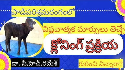 క్లోనింగ్ ప్రక్రియ గురించి విన్నారా? /Clonning technology by Dr Ch Ramesh veterinary Vignanam