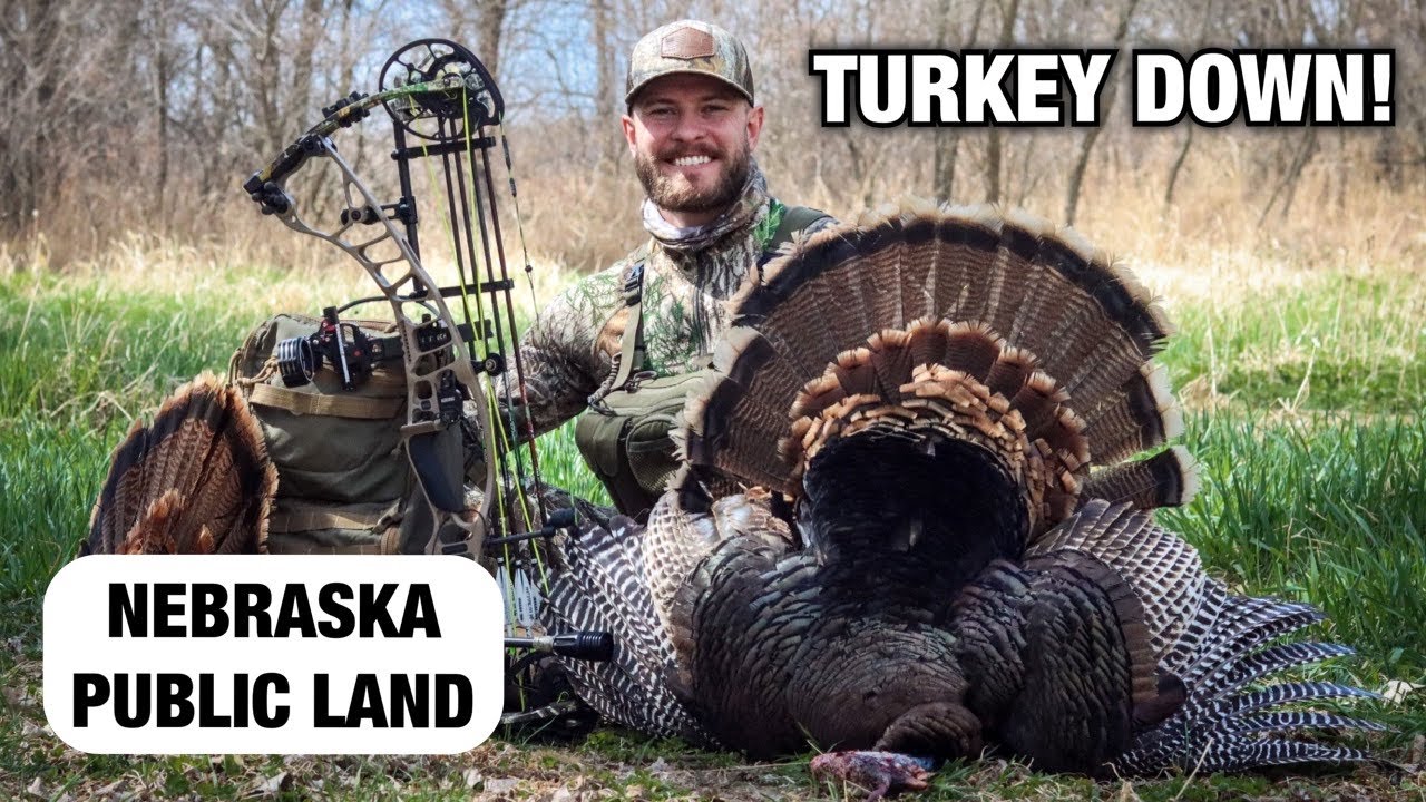 Public Land Archery TURKEY HUNT (SlowMotion Shot) YouTube