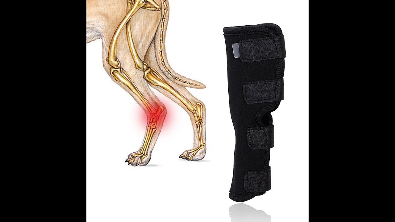 Dog Leg Knee Brace Straps | Joint Protection Bandage for Dogs 