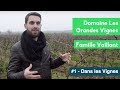 Ref:R6B4b_CfNGw Domaine les grandes vignes - #1 : dans les parcelles de grolleau gris et de chenin