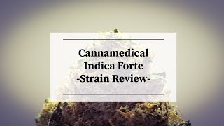 Medizinisches Cannabis Cannamedical Indica Forte El Jefe Strain Review