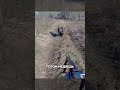 Неожиданная встреча с медведем 🐻