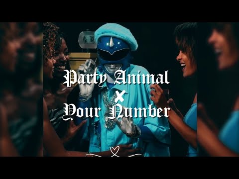 Party Animal x Your Number
