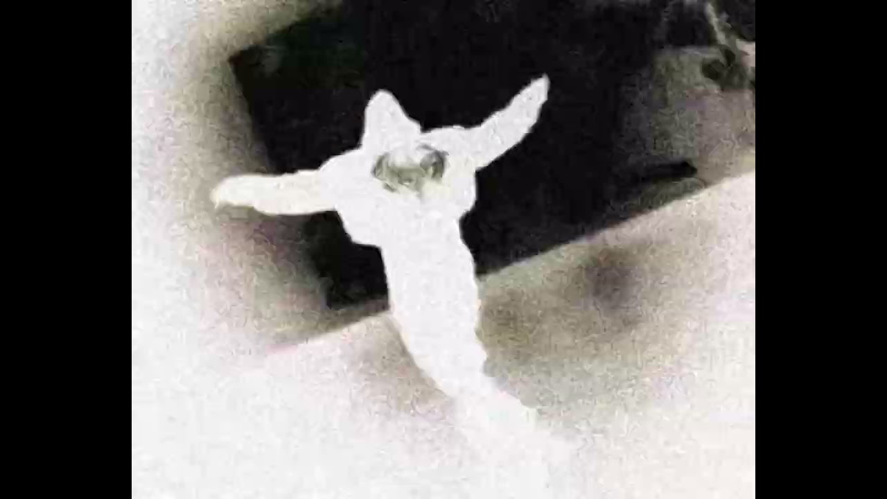 [FREE] KEN CARSON & DESTROY LONELY & 808 MAFIA TYPE BEAT ,,PRESIDENTAL’’