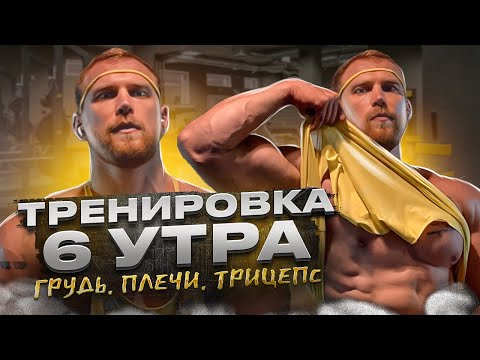 Видео: Тренировка в 6 утра. Грудь. Плечи. Трицепс. Влог.