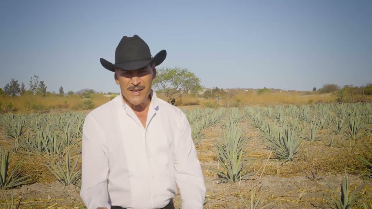 El Oaxaqueño: Raúl Hernández el tigre solitario