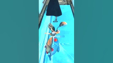 Goldluck Floor LED Display.#led #floorleddisplay #ledfloor #leddisplay #ytshots #youtubeshorts