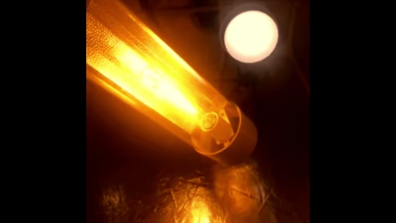 Start to Finish Cannabis Grow Guide (Part 1) BEGINNER'S