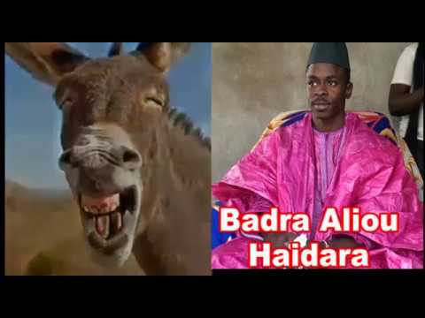 Mahi Ouattara Repond Badra Aliou Haidara Qui Pleure Pour L'argent Des Ansars