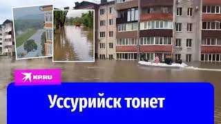 Спор о наводнении Жена мэра Уссурийска обвиняет жительницу в желании подзаработать
