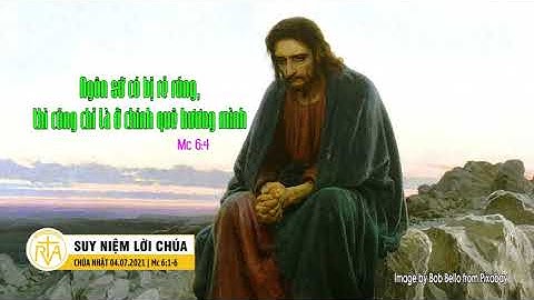 Suy Niệm Lời Chúa, Chúa Nhật 04/07/2021