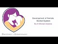 Physiology of Development of Female Genital System by Dr. Shonali Chandra