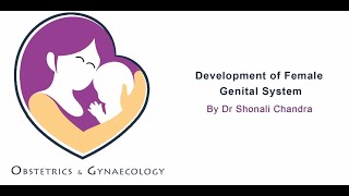Physiology of Development of Female Genital System by Dr. Shonali Chandra screenshot 5