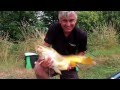 Diabolique carp specimen par jrme lagarde