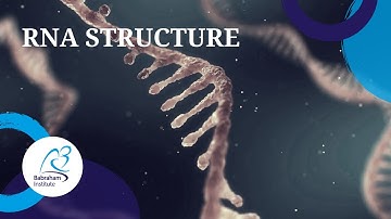 RNA structure | a hidden regulator in vivo