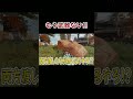 私の武器全部あげるから、あと頼むわ！| ApexLegends #shorts