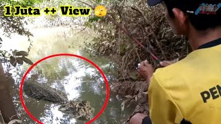 Download Lagu Nyaris Meninggoi !! Para Pemancing Yang Hampir Diterkam Buaya dan Terekam Kamera MP3