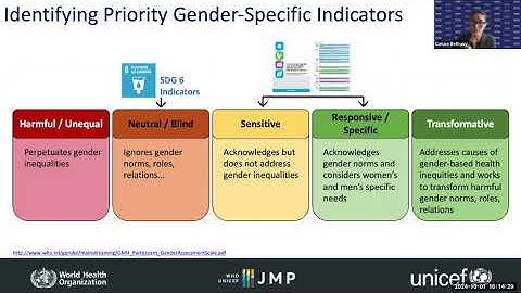 Transforming WASH Data through a Gender Lens (English)