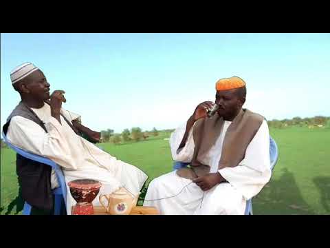 شاعر الهنباته تيراب