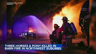3 horses, pony killed in barn fire in McHenry County, officials say