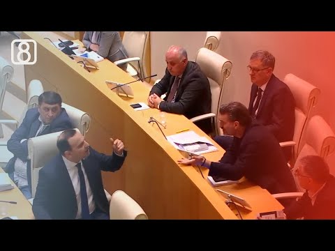 სიტყვიერი დაპირისპირება პარლამენტის სხდომაზე