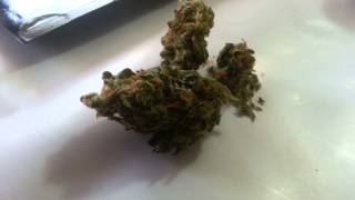 Dispensary trip