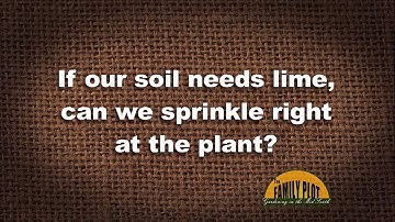 Q&A – Can I sprinkle lime at the base of a plant?