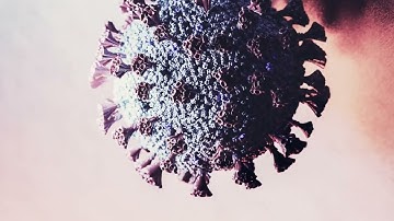 The Snowball Effect: Shelly